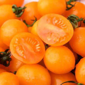 黄金圣女果黄色樱桃小番茄5斤新鲜孕妇水果食用农产品千禧西红柿3斤